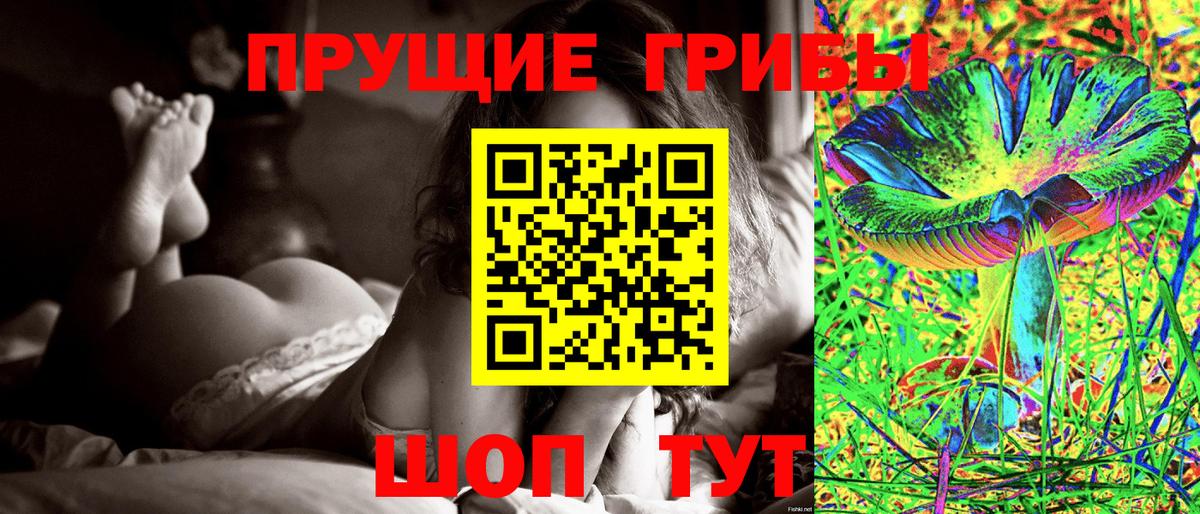 Псилоцибиновые грибы Cubensis  где продают   Семилуки  Вход с VPN 
